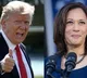 US Election: Polls aggregation changes giving Harris miniscule lead