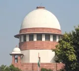LMV licence holders can drive light transport vehicles, reiterates SC