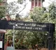Madras HC allows veterinarian to visit infant monkey he cared for ten months