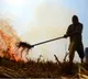 Centre doubles penalty for stubble burning amid rising air pollution in Delhi-NCR