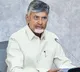 cm chandrababu review on nominated posts