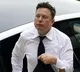 tesla shares surge 14 as trump win sets stage for elon musks ev firm