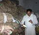 Minister Nadendla inspects seven rice mills in Guntur and Palnadu districts
