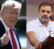 LoP Rahul Gandhi writes to Trump, Harris after US poll results