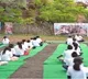 SC refuses to entertain PIL for appointment of ‘Yoga Mitra’ in all schools