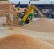 Centre buys paddy worth Rs 27,995 crore in Punjab, 6.8 lakh farmers benefit