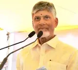 Nominated posts filled after screening 30,000 applications: Chandrababu Naidu