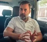 Rahul Gandhi apologies to people of Maha's Chikhli after plane glitch forces rally cancellation