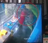 Temple Priests Fighting In AndhraPradesh vedio viral