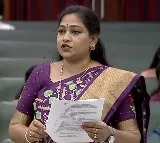 Andhra Pradesh Assembly Question Hour