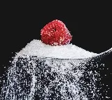 Can eating too much sugar cause diabetes here 5 things to know