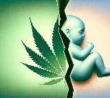 Study shows how weed use may raise cancer risk