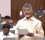 CM Chandrababu statement on govt policies