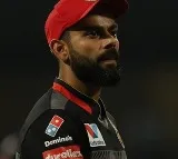 ravi shastri backs virat kohli says king returned to his territory comment