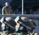 132 nations call to halt military operations during month of Baku climate summit