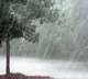 Heavy rains in TN, yellow alert for 18 districts this weekend