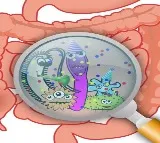 Study explains mechanisms behind food poisoning, gut infections