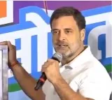 Jobs, inflation, justice for poor to be clinchers in Maha polls: Rahul Gandhi