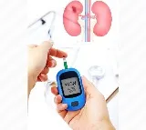 Japanese researchers find diabetes drugs’ potential to protect kidneys