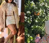 Priyanka Chopra shares heartwarming moment of Malti enjoying Autumn