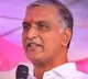 Telangana CM distracting people with empty rhetoric, says BRS