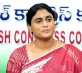 YS Sharmila demands to arrest Avinash Reddy