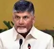 Chandrababu praises Nadendla Manohar in Assembly