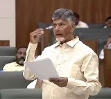 Chandrababu Naidu promises to act tough to enforce law & order in Andhra
