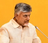 We Will Unmask Criminals in Politics: CM Chandrababu