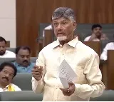CM Chandrababu said they will remove political mask of criminals