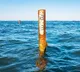 Sea level will rise 1 meter by 2100