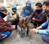 At minus 1.2, J&K's Srinagar records season’s coldest night