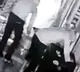 Thief found to be epileptic patient and suffered an attack after theft