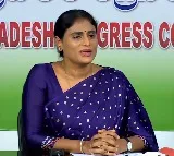 Sharmila press meet