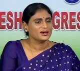 YS Sharmila Clarity About Affair With Actor Prabhas