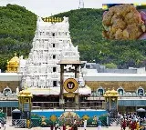 sit initiated investigation into tirumala laddu adulterated ghee case
