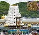 sit initiated investigation into tirumala laddu adulterated ghee case