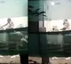 Staff At Ice Cream Factory Caught Licking Ice Sticks Before Packaging
