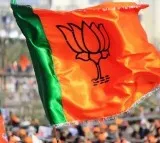 BJP alliance wins majority seats in bypoll