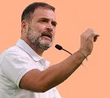 Results of Maharashtra are unexpected says Rahul Gandhi
