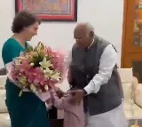 Priyanka Gandhi meets Congress chief Kharge