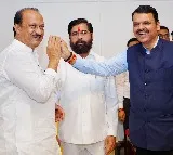 'Second Innings': BJP-led Mahayuti scripts history with Maha landslide, JMM retains Jharkhand (Lead National Roundup)