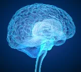 Scientists decode brain activity that can help treat anxiety and depression