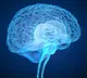 Scientists decode brain activity that can help treat anxiety and depression