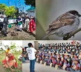 100 crore trees in five months: PM Modi lauds Ek Ped Maa Ke Naam' campaign success