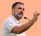 Allahabad HC asks Centre to decide on plea over Rahul Gandhi citizenship by December 19