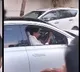 KCR Seen Driving: Symbolic Video Inspires Party Cadre