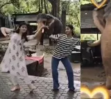 Elephant performs Bharatanatyam here is viral video