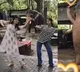 Elephant performs Bharatanatyam here is viral video