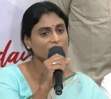 Give Jagan an Oscar, Accept the Challenge if You Dare: YS Sharmila’s Provocative Tweet